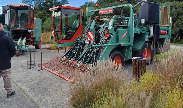 cuma breizh culture du lin